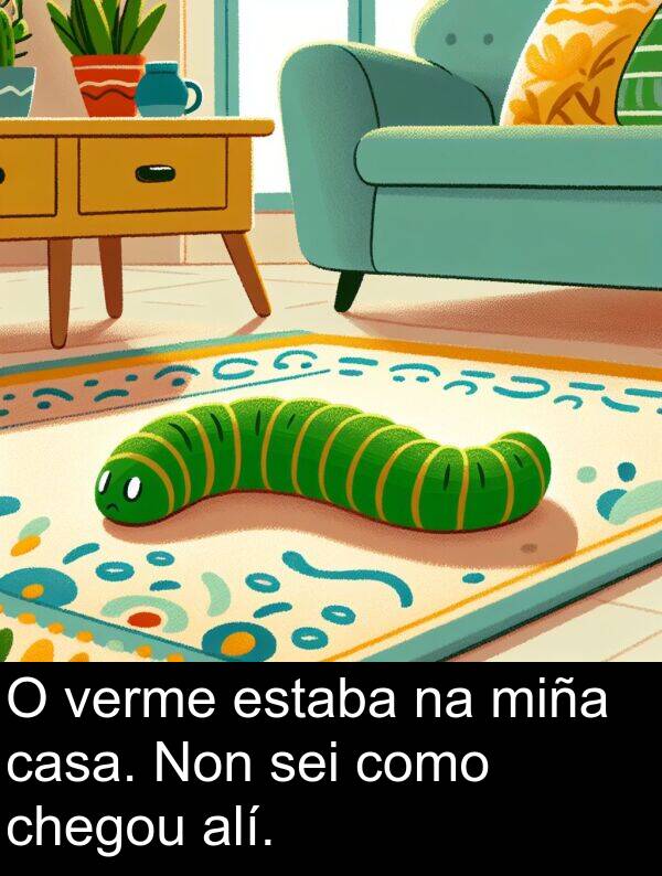 como: O verme estaba na miña casa. Non sei como chegou alí.