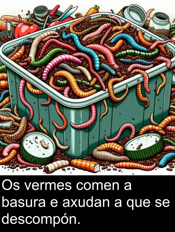 basura: Os vermes comen a basura e axudan a que se descompón.