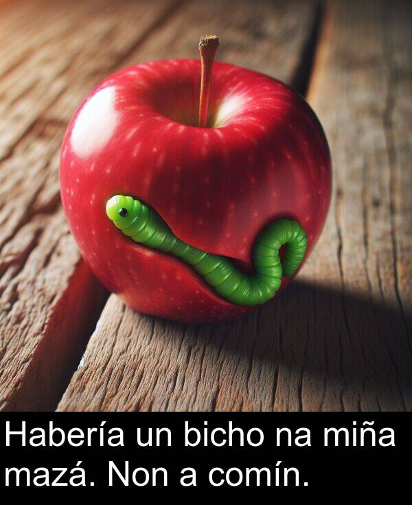 miña: Habería un bicho na miña mazá. Non a comín.