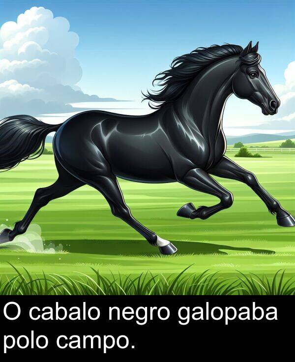 negro: O cabalo negro galopaba polo campo.