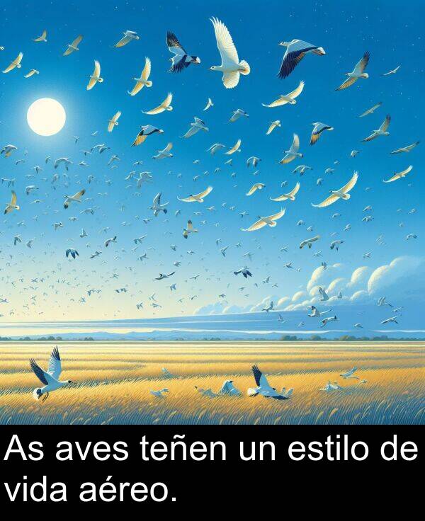 estilo: As aves teñen un estilo de vida aéreo.