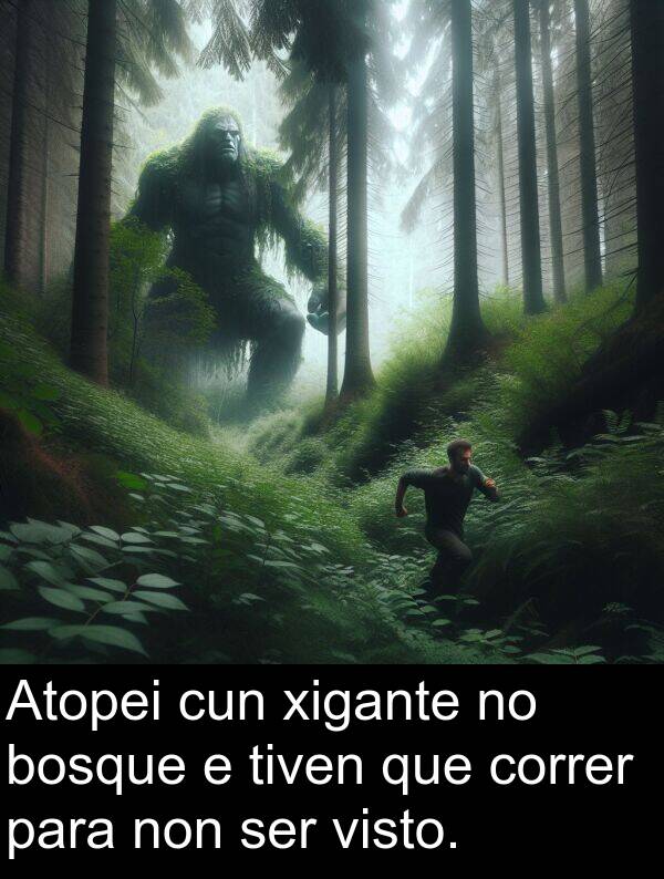 correr: Atopei cun xigante no bosque e tiven que correr para non ser visto.