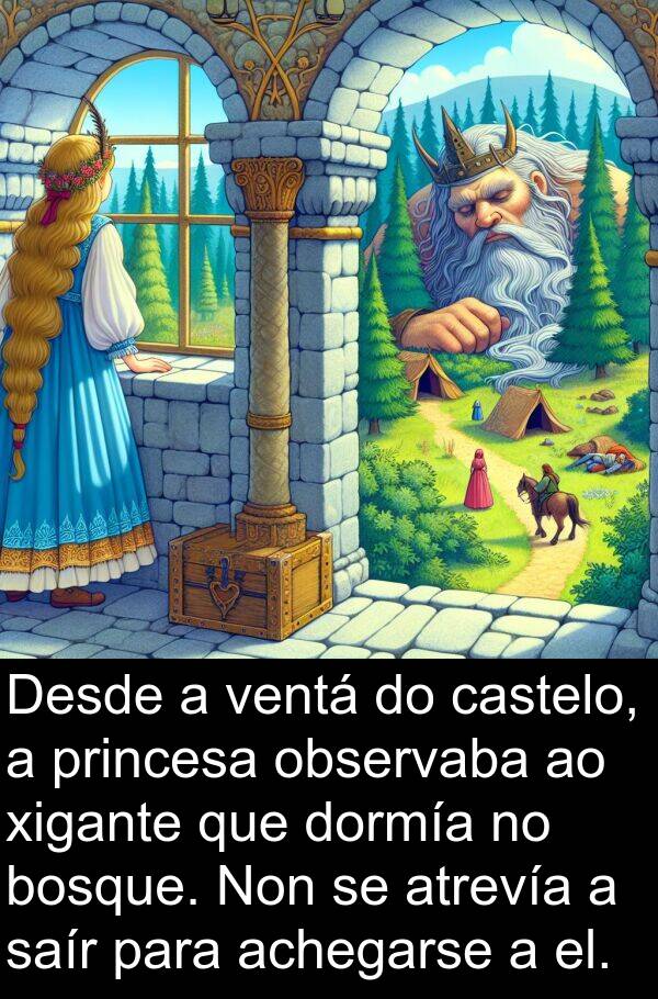 achegarse: Desde a ventá do castelo, a princesa observaba ao xigante que dormía no bosque. Non se atrevía a saír para achegarse a el.