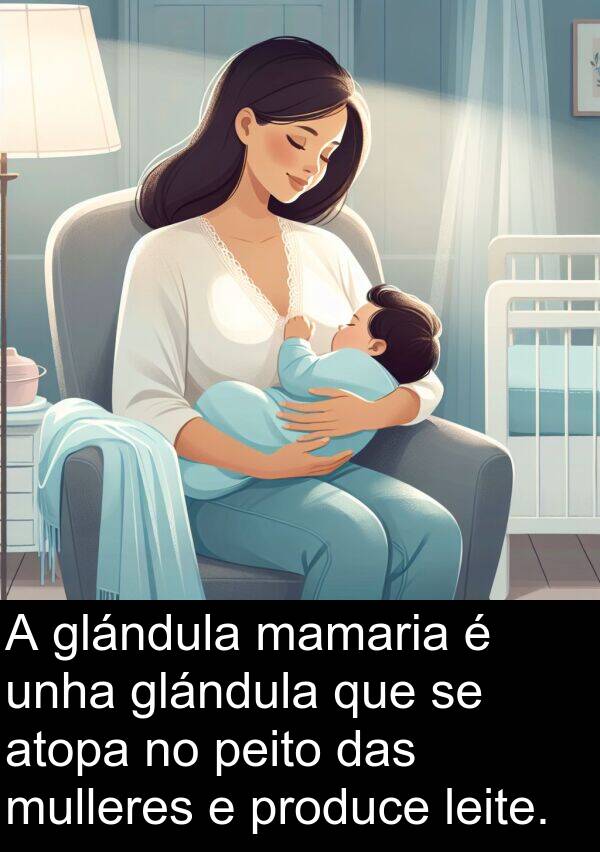 produce: A glándula mamaria é unha glándula que se atopa no peito das mulleres e produce leite.