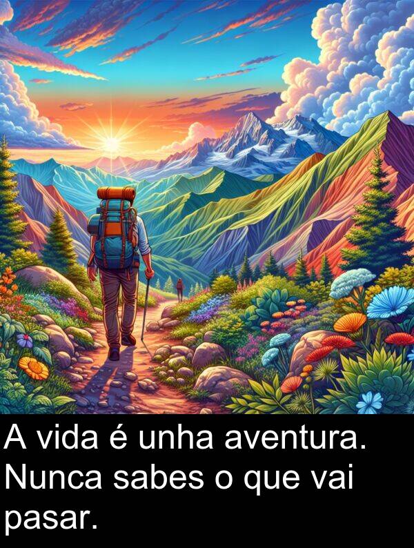 vida: A vida é unha aventura. Nunca sabes o que vai pasar.
