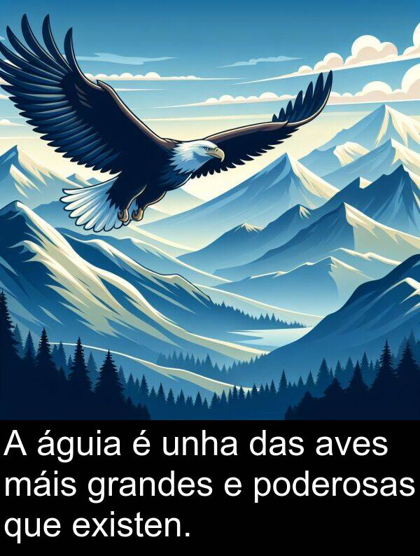 grandes: A águia é unha das aves máis grandes e poderosas que existen.