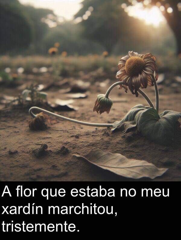 flor: A flor que estaba no meu xardín marchitou, tristemente.
