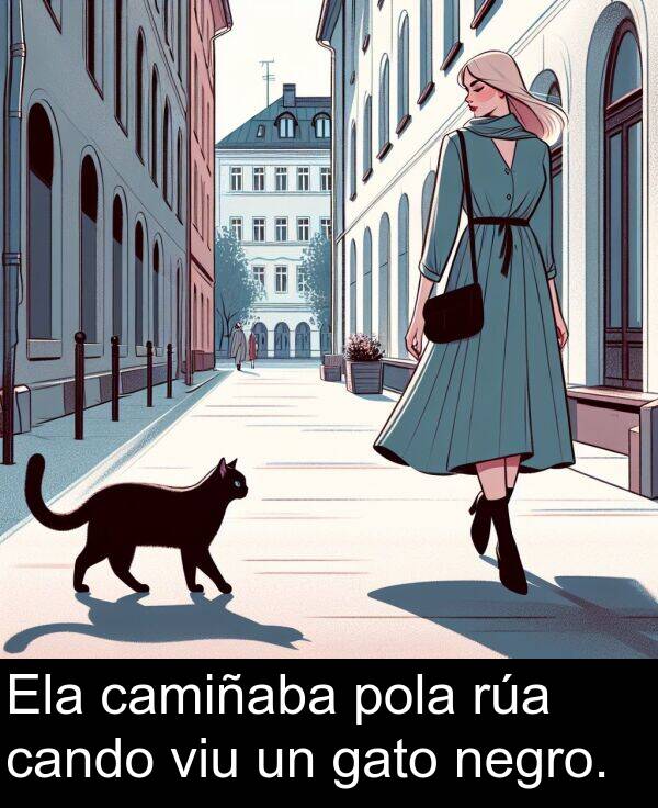 rúa: Ela camiñaba pola rúa cando viu un gato negro.