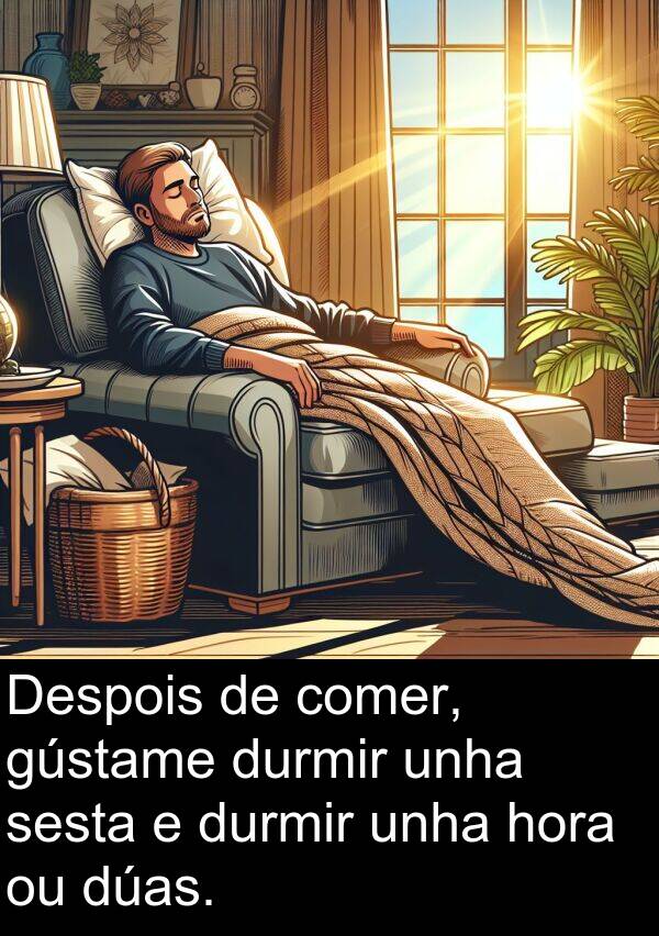 durmir: Despois de comer, gústame durmir unha sesta e durmir unha hora ou dúas.