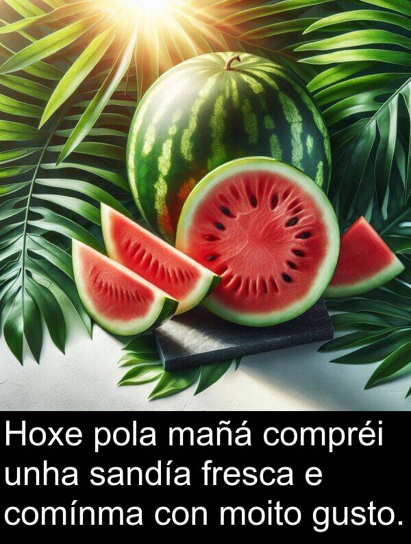 fresca: Hoxe pola mañá compréi unha sandía fresca e comínma con moito gusto.