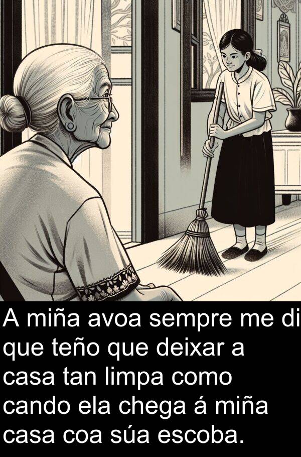 escoba: A miña avoa sempre me di que teño que deixar a casa tan limpa como cando ela chega á miña casa coa súa escoba.