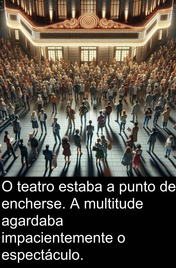 espectáculo: O teatro estaba a punto de encherse. A multitude agardaba impacientemente o espectáculo.