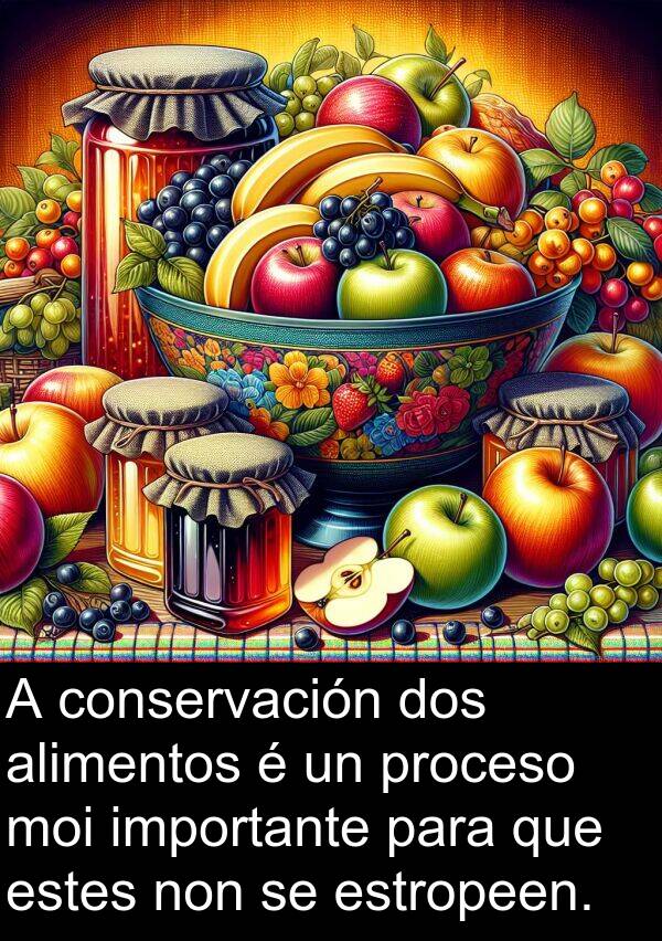 conservación: A conservación dos alimentos é un proceso moi importante para que estes non se estropeen.