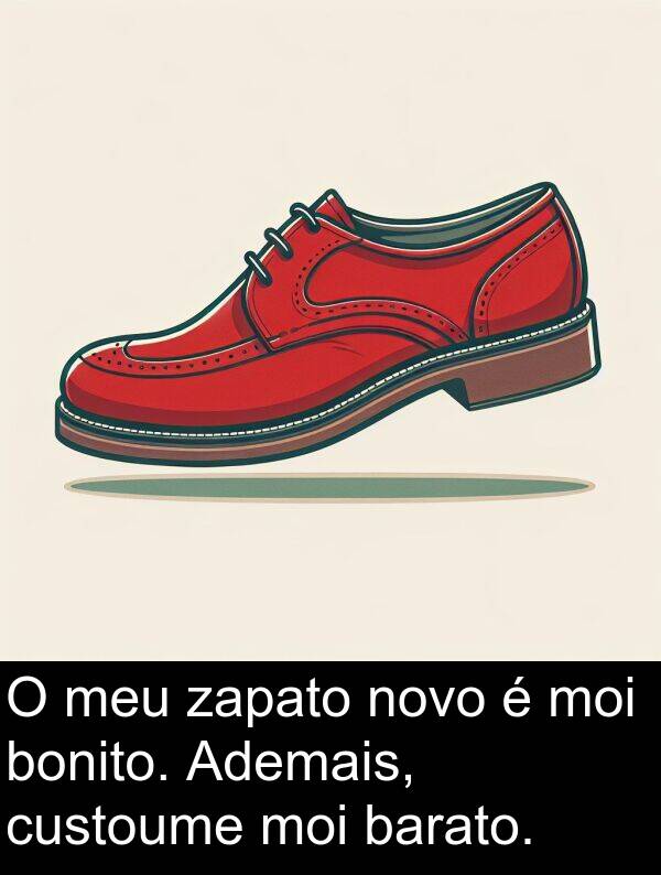 barato: O meu zapato novo é moi bonito. Ademais, custoume moi barato.