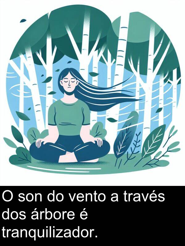 son: O son do vento a través dos árbore é tranquilizador.