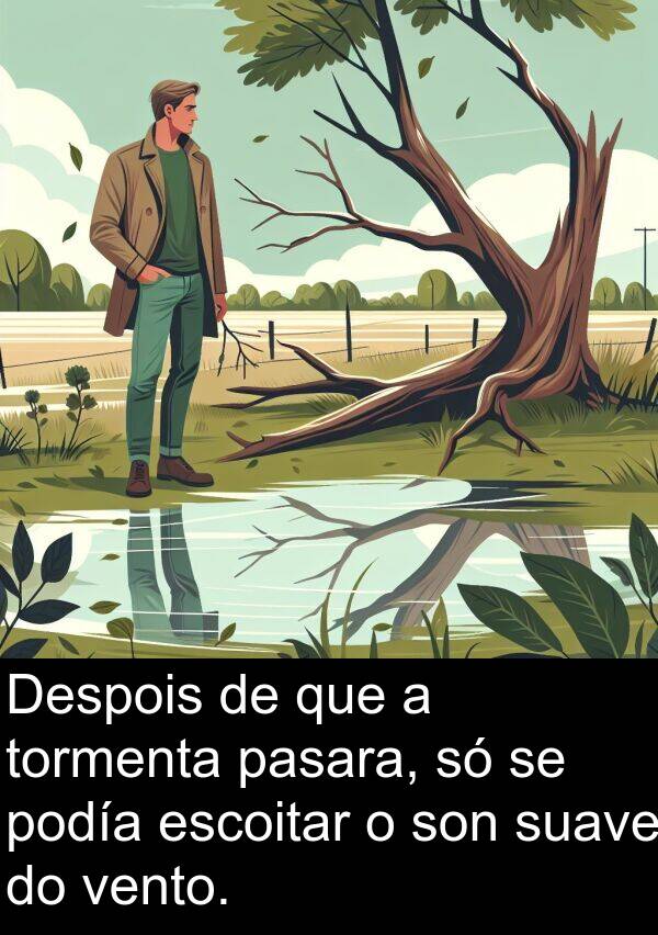 escoitar: Despois de que a tormenta pasara, só se podía escoitar o son suave do vento.