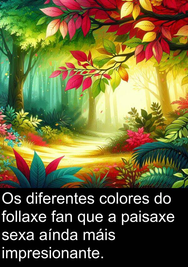 colores: Os diferentes colores do follaxe fan que a paisaxe sexa aínda máis impresionante.
