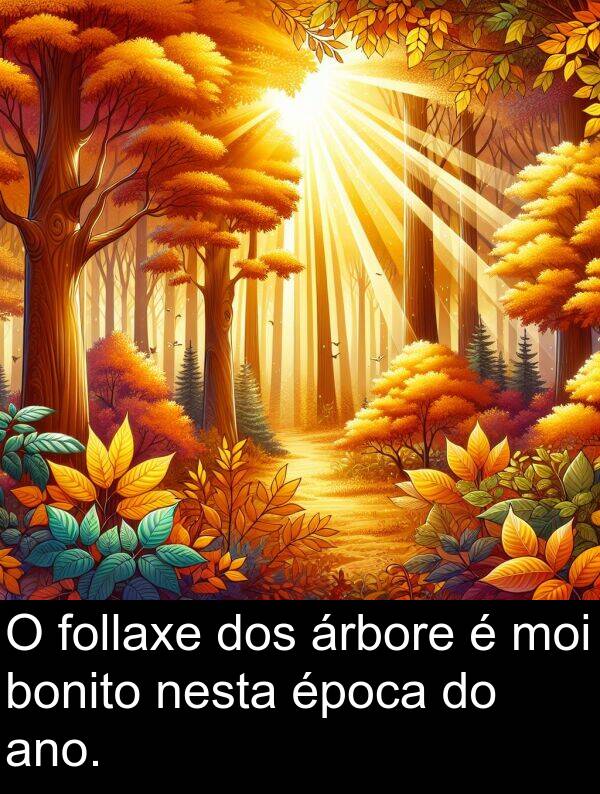 época: O follaxe dos árbore é moi bonito nesta época do ano.