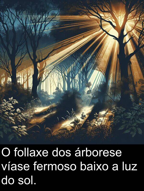 dos: O follaxe dos árborese víase fermoso baixo a luz do sol.