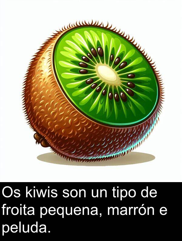 froita: Os kiwis son un tipo de froita pequena, marrón e peluda.