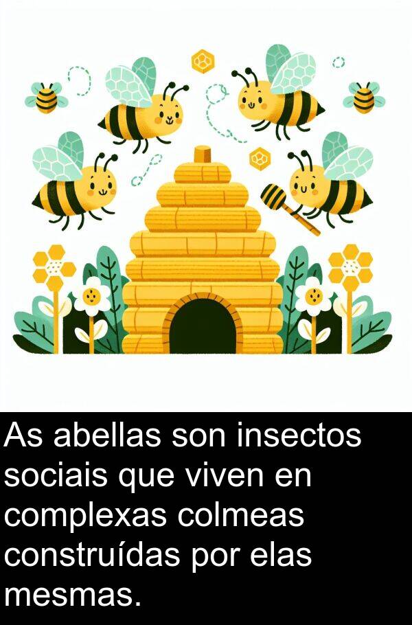 construídas: As abellas son insectos sociais que viven en complexas colmeas construídas por elas mesmas.