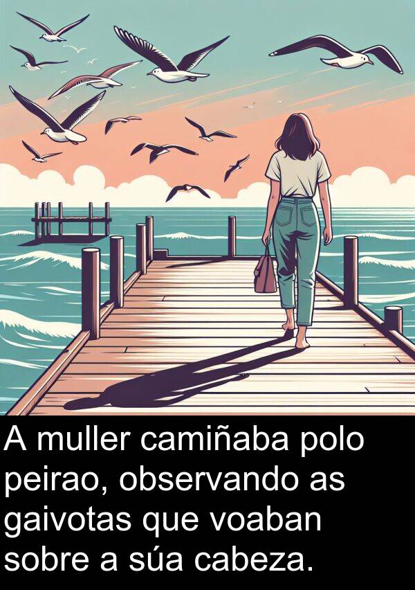 gaivotas: A muller camiñaba polo peirao, observando as gaivotas que voaban sobre a súa cabeza.