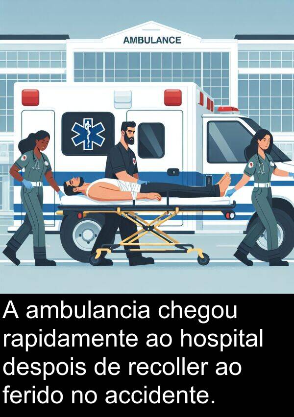 recoller: A ambulancia chegou rapidamente ao hospital despois de recoller ao ferido no accidente.