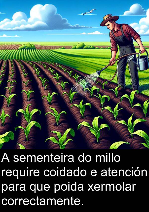 require: A sementeira do millo require coidado e atención para que poida xermolar correctamente.