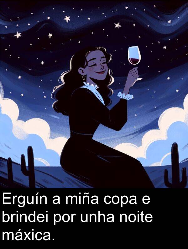 por: Erguín a miña copa e brindei por unha noite máxica.