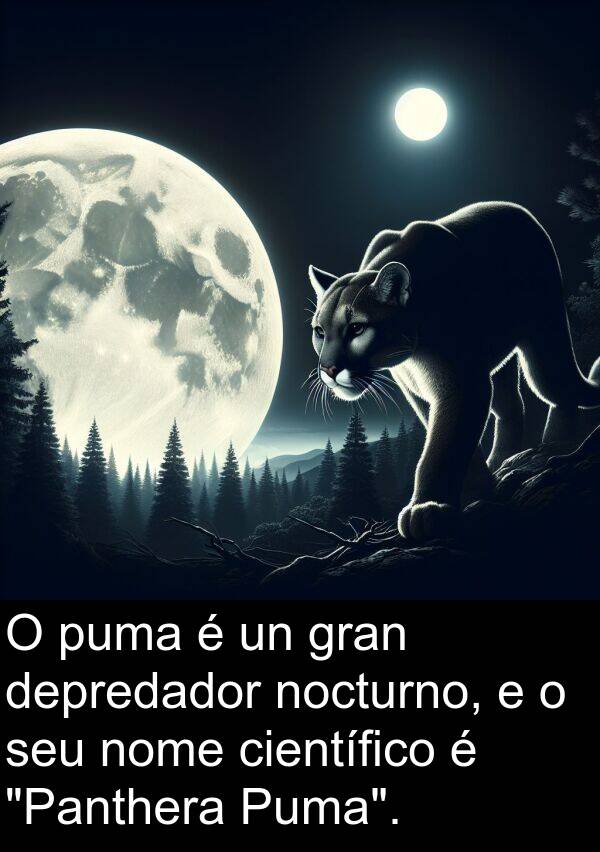 científico: O puma é un gran depredador nocturno, e o seu nome científico é "Panthera Puma".