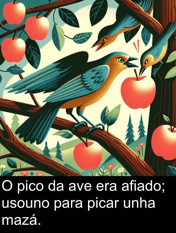 pico: O pico da ave era afiado; usouno para picar unha mazá.