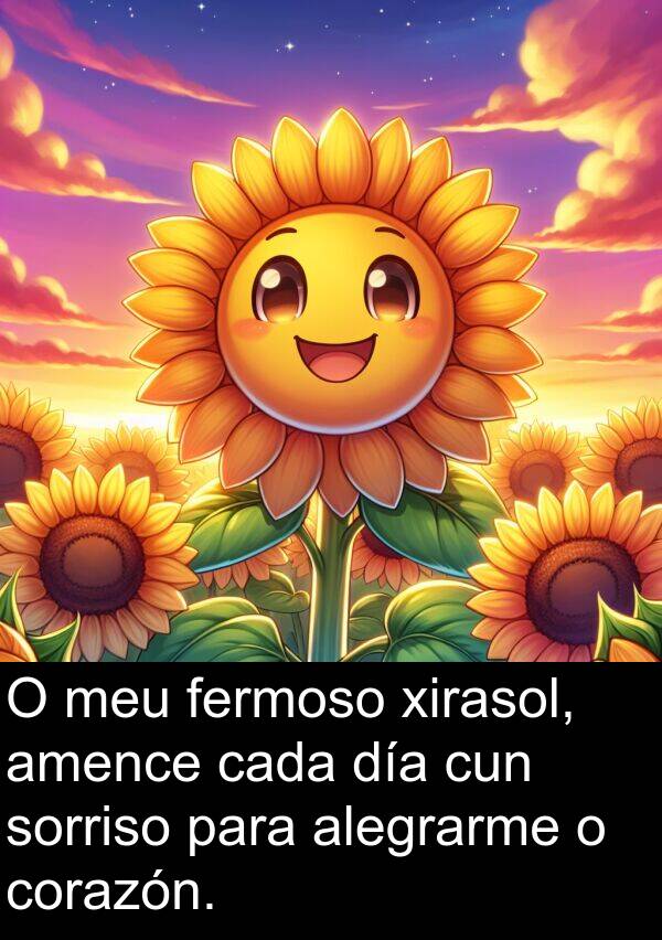 xirasol: O meu fermoso xirasol, amence cada día cun sorriso para alegrarme o corazón.