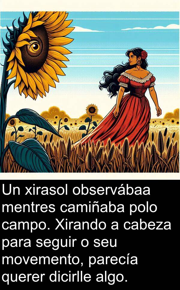 seguir: Un xirasol observábaa mentres camiñaba polo campo. Xirando a cabeza para seguir o seu movemento, parecía querer dicirlle algo.