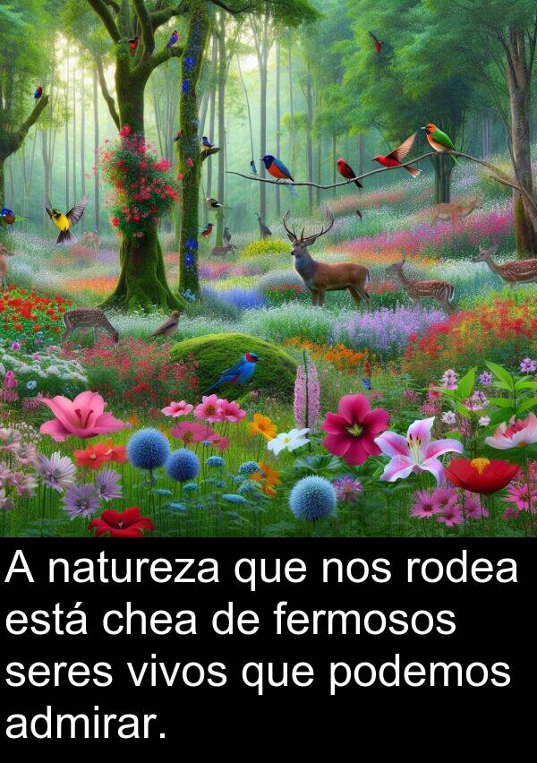 rodea: A natureza que nos rodea está chea de fermosos seres vivos que podemos admirar.