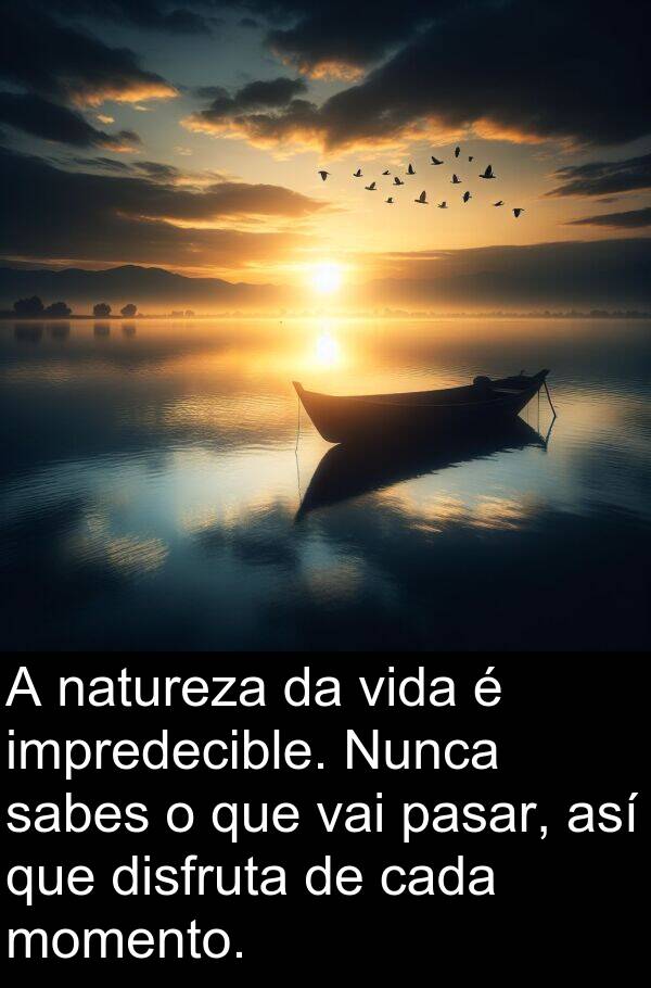 momento: A natureza da vida é impredecible. Nunca sabes o que vai pasar, así que disfruta de cada momento.