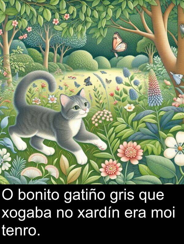 gris: O bonito gatiño gris que xogaba no xardín era moi tenro.