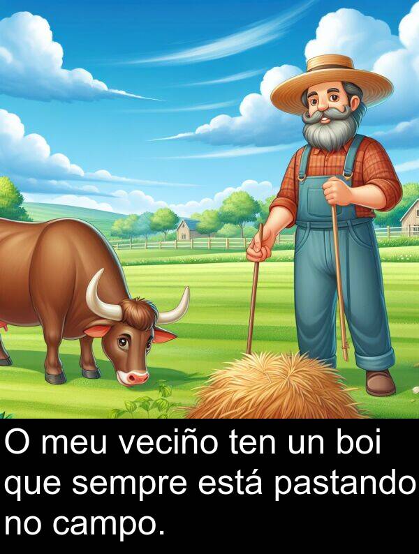 campo: O meu veciño ten un boi que sempre está pastando no campo.