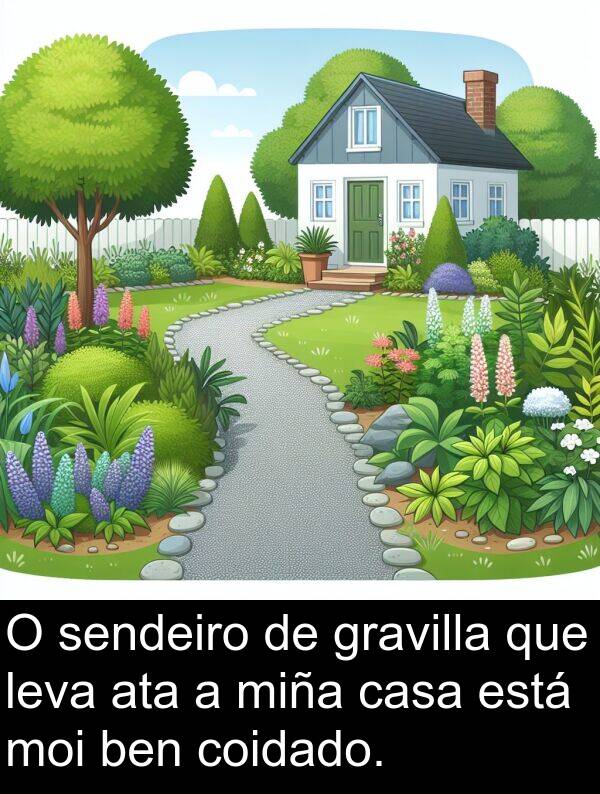 gravilla: O sendeiro de gravilla que leva ata a miña casa está moi ben coidado.