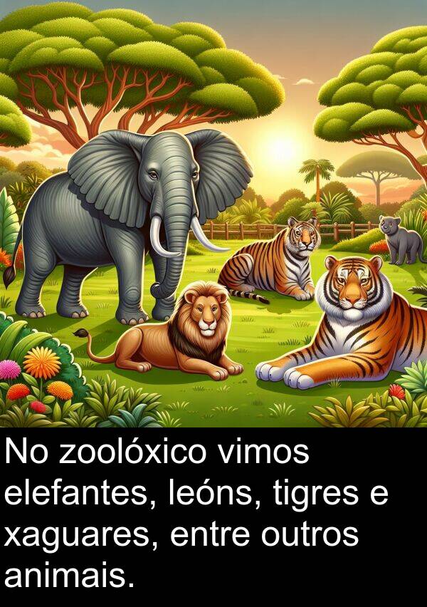 tigres: No zoolóxico vimos elefantes, leóns, tigres e xaguares, entre outros animais.