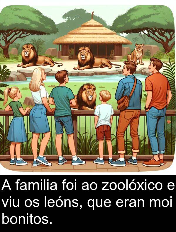 eran: A familia foi ao zoolóxico e viu os leóns, que eran moi bonitos.
