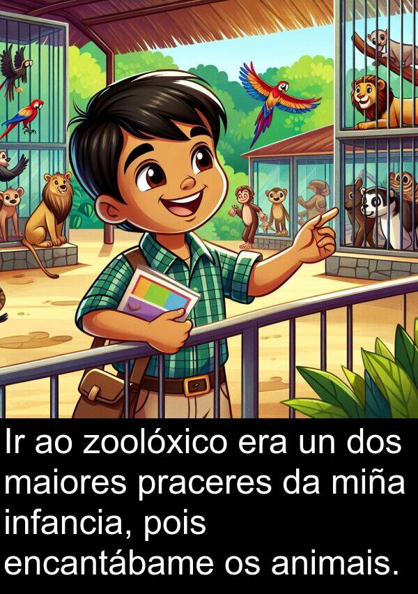 encantábame: Ir ao zoolóxico era un dos maiores praceres da miña infancia, pois encantábame os animais.