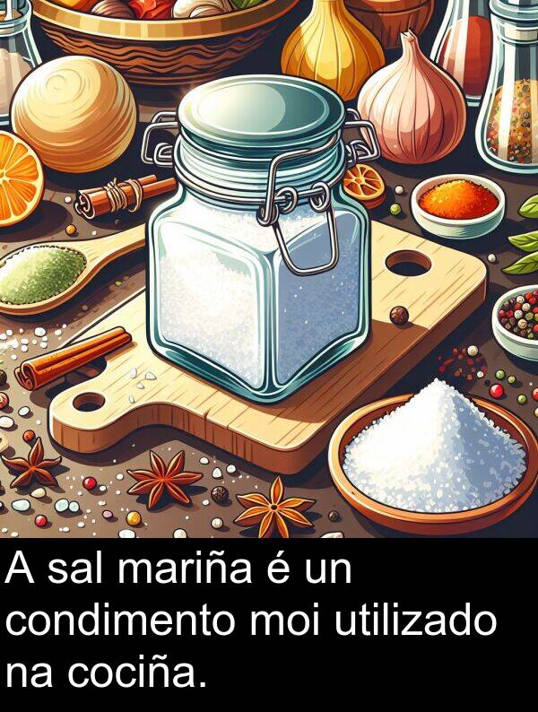 cociña: A sal mariña é un condimento moi utilizado na cociña.