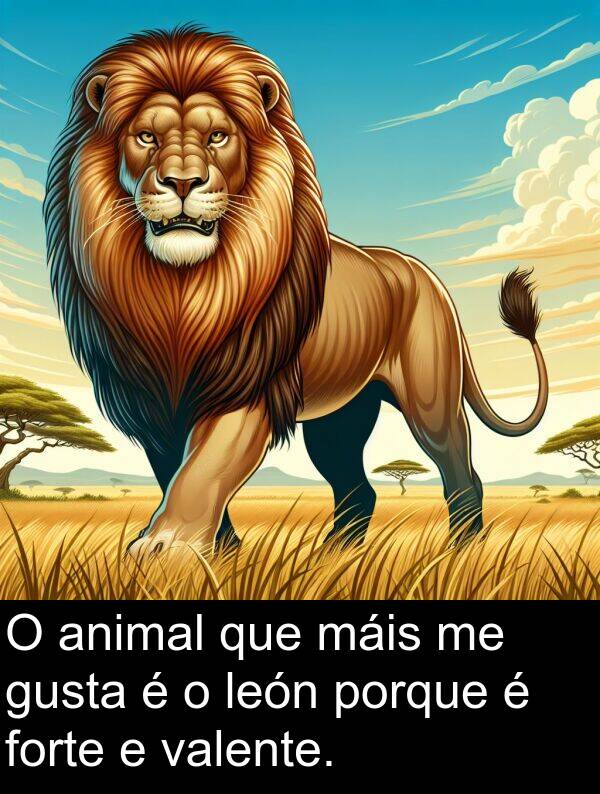 porque: O animal que máis me gusta é o león porque é forte e valente.