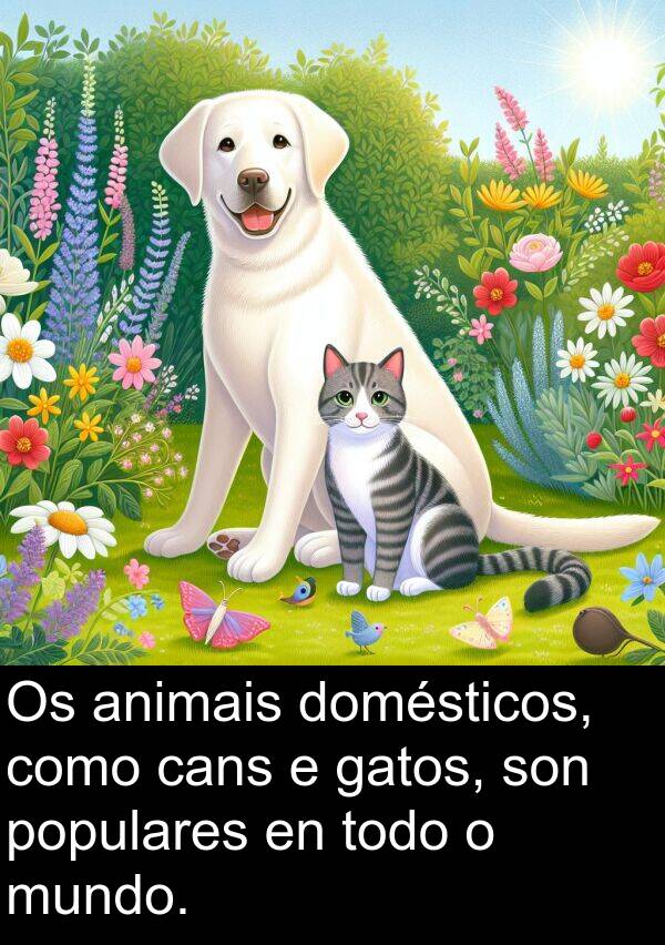 gatos: Os animais domésticos, como cans e gatos, son populares en todo o mundo.