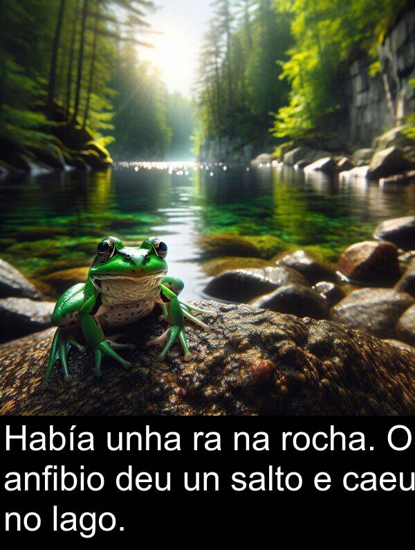rocha: Había unha ra na rocha. O anfibio deu un salto e caeu no lago.