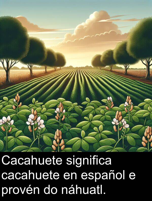 significa: Cacahuete significa cacahuete en español e provén do náhuatl.