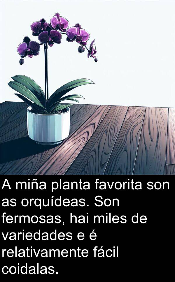 relativamente: A miña planta favorita son as orquídeas. Son fermosas, hai miles de variedades e é relativamente fácil coidalas.