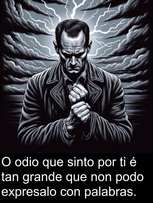 grande: O odio que sinto por ti é tan grande que non podo expresalo con palabras.