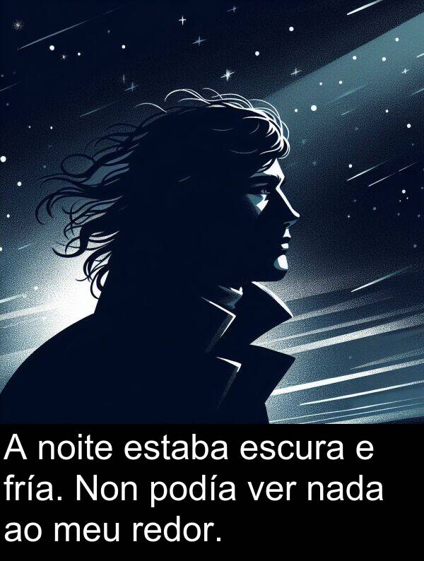 redor: A noite estaba escura e fría. Non podía ver nada ao meu redor.