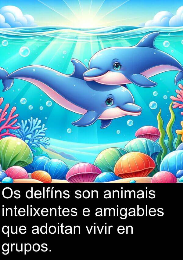 delfíns: Os delfíns son animais intelixentes e amigables que adoitan vivir en grupos.